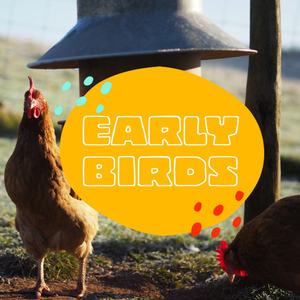 EARLY BIRD discounts are back...