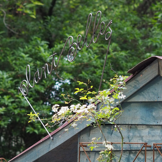 Plant supports at RHS Chelsea Flower Show - Plant Belles