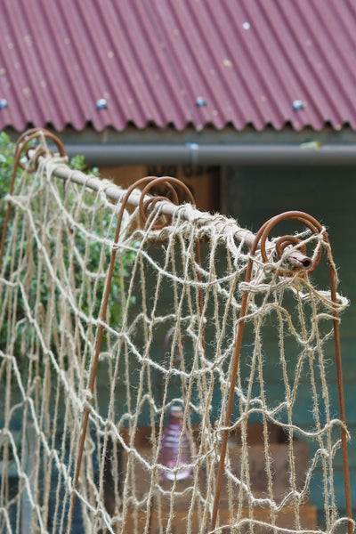 Bean Poles - seen at RHS Chelsea. Create a frame to support a net, for climbing peas, beans...