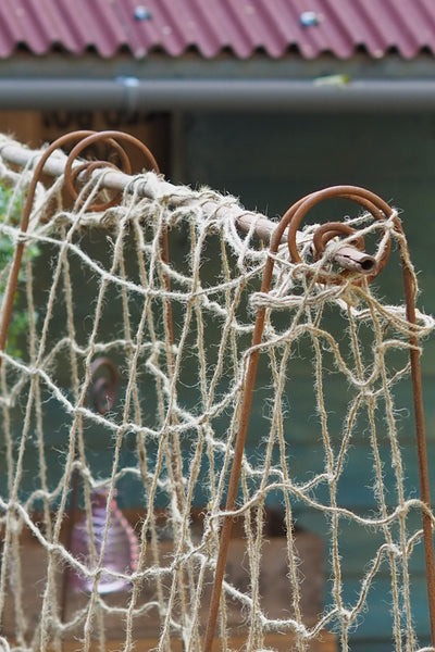 Bean Poles - seen at RHS Chelsea. Create a frame to support a net, for climbing peas, beans...