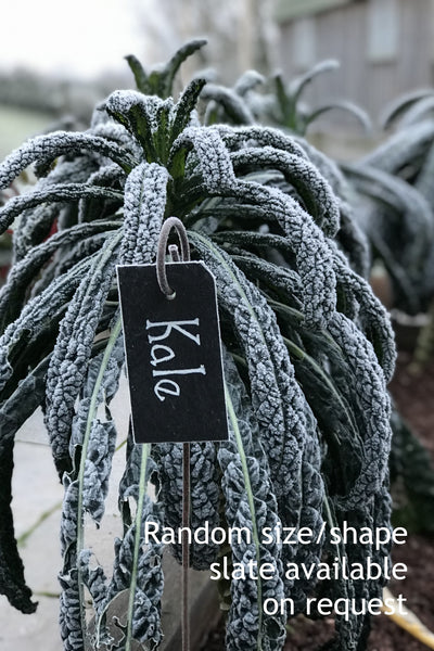 Hanging Slate Plant Labels (5 pack)