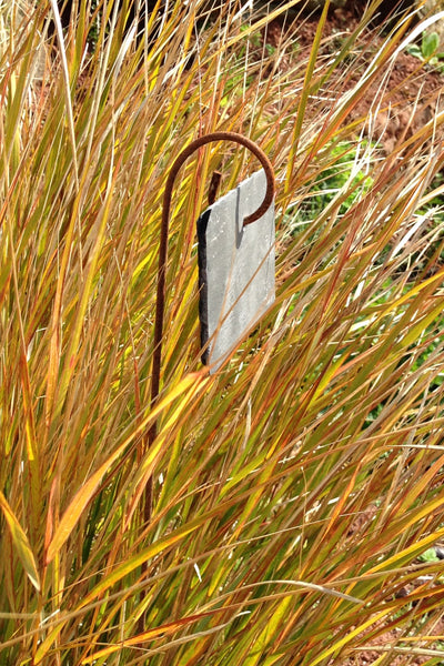 Plant Labels, slate labels hanging on mini crooks, rusty metal, two sizes