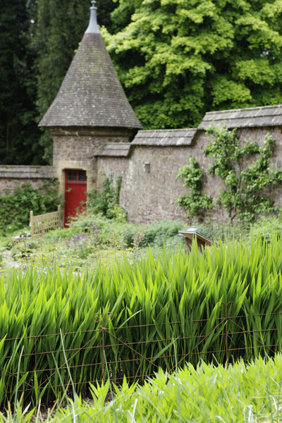 Plant supports, rusty edging, fencing - Grande Hurdles - seen here at Knightshayes