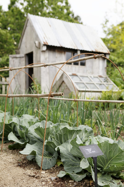 Protect your fruit & veg, plant tunnel, cloche hoops with loops for cane support, Enviromesh or net