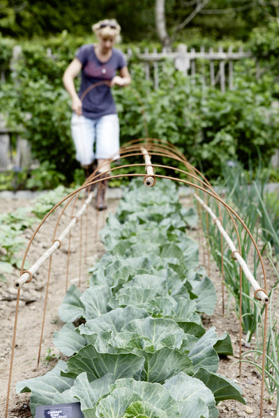 Protect your fruit & veg, plant tunnel, cloche hoops with loops for cane support, Enviromesh or net