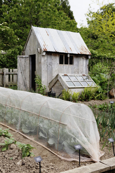 Protect your fruit & veg, plant tunnel, cloche hoops with loops for cane support, Enviromesh or net