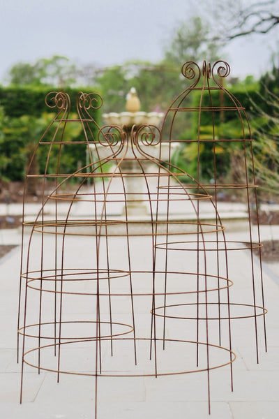 Obelisks and grow-through plant supports. Also great for training roses. RHS Cheslea award finalists