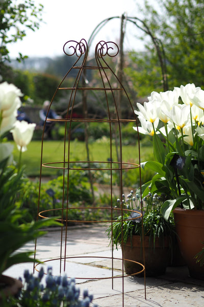 Obelisks and grow-through plant supports. Also great for training roses. At RHS Rosemoor & Wisley