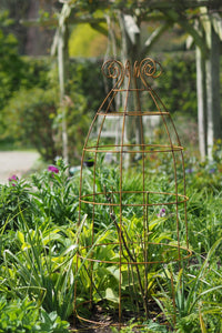 Obelisks and grow-through plant supports. Also great for training roses. At RHS Rosemoor & Wisley