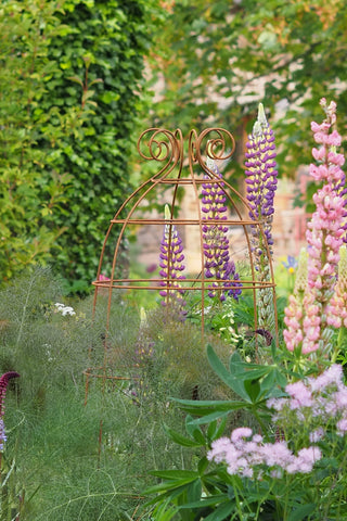 Obelisks and grow-through plant supports. Also great for training roses. RHS Cheslea award finalists