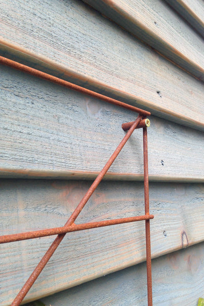 Trellis Panels, rusty plant support - Climbing Squares - for training climbing plants. Photo RHS Malvern