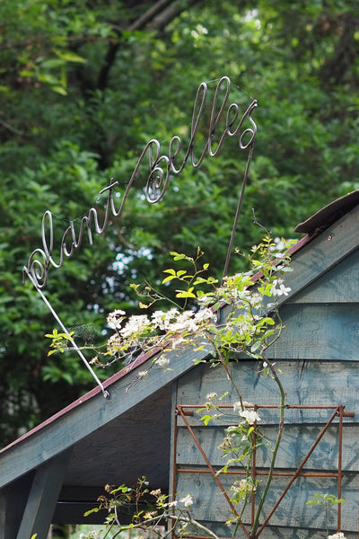 Trellis Panels, rusty plant support - Climbing Squares - for training climbing plants. Photo RHS Cheslea